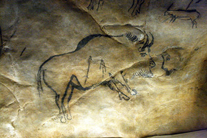 Niaux bison Bison paintings in Niaux cave